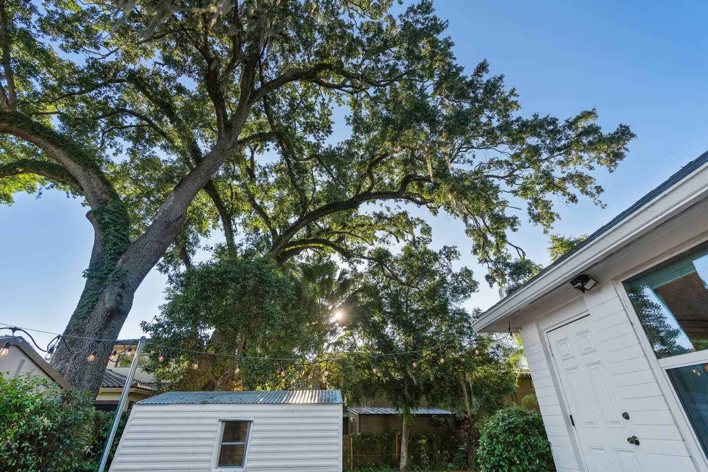 Lush backyard landscape under the Florida sun – The Falling Moss Villa