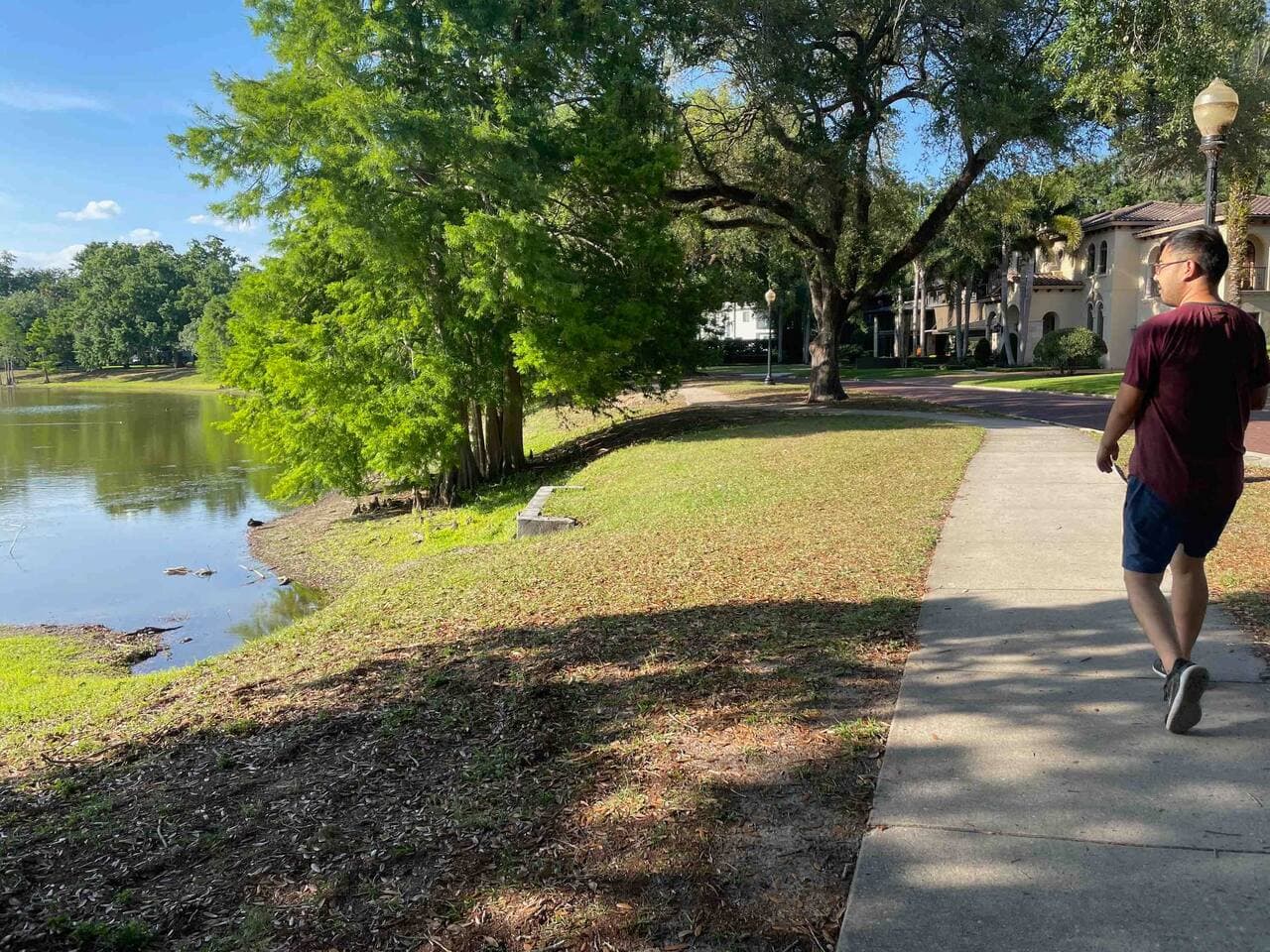 Tranquil lake view showing the natural beauty of the surrounding area