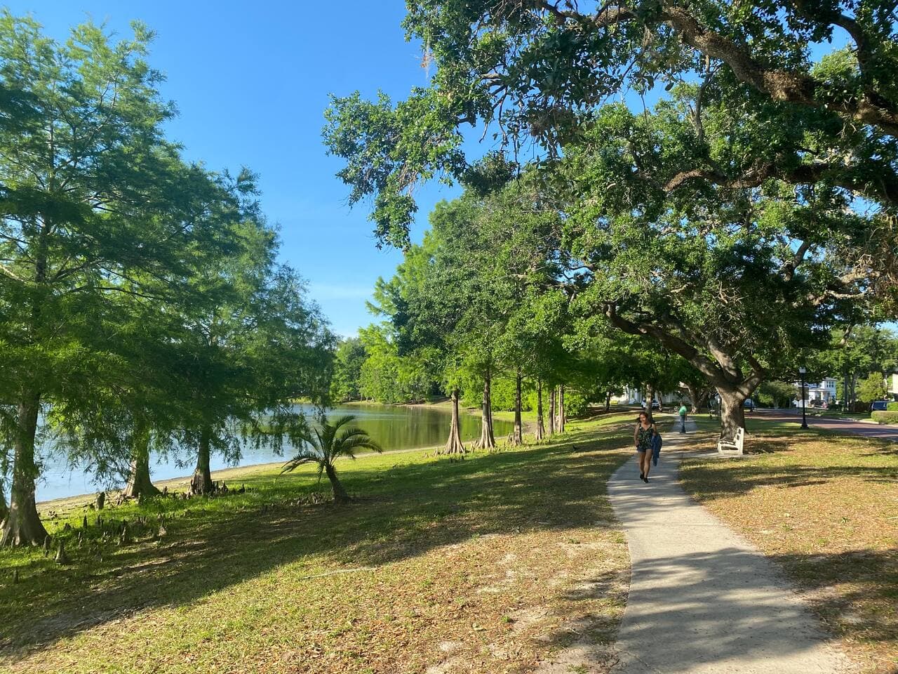 Shaded walking path under historic oak trees in the Lake Davis neighborhood